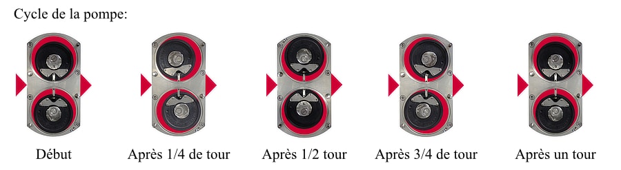 cycle-de-la-pompe cycle-de-la-pompe